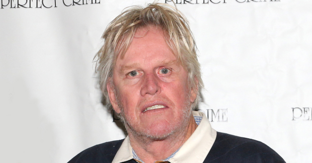 Gary Busey will star in the new musical Only Human.