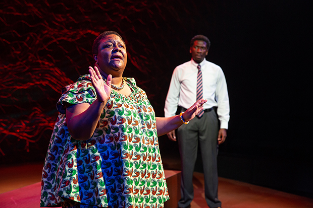 Myra Lucretia Taylor and James Udom share the stage in The Rolling Stone.
