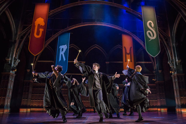 Harry Potter and the Cursed Child will offer an autism-friendly performance as part of TDF&#39;s ninth season of performances for children and adults on the autism spectrum.