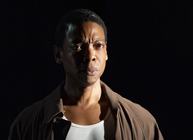 Michael Benjamin Washington in Anna Deavere Smith&#39;s Fires in the Mirror.