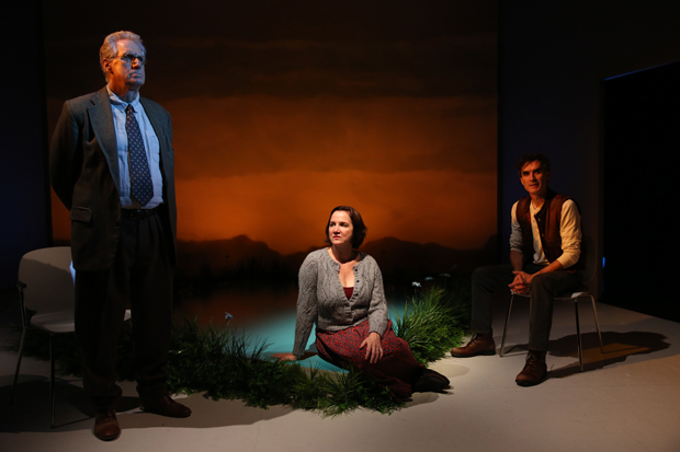 Paul O&#39;Brien, Pamela Sabaugh, and Tommy Schrider star in Keen Company&#39;s production of Molly Sweeney.