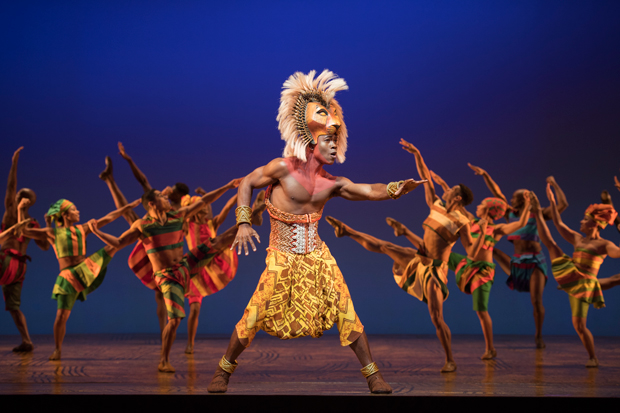Bradley Gibson currently plays Simba in The Lion King on Broadway.