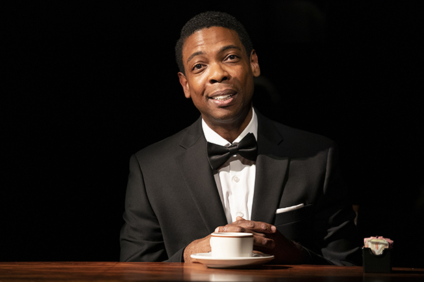Michael Benjamin Washington stars in the off-Broadway revival of Anna Deavere Smith&#39;s Fires in the Mirror, directed by Saheem Ali, at Signature Theatre.