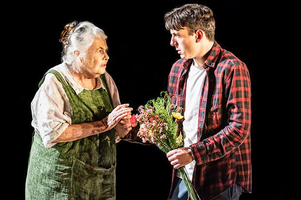 Lois Smith plays Margaret, and Samuel H. Levine plays Leo in The Inheritance.