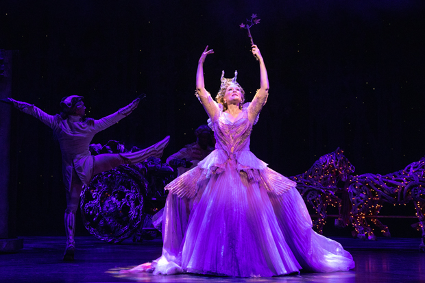 Donna English plays Marie in Cinderella at Paper Mill Playhouse.