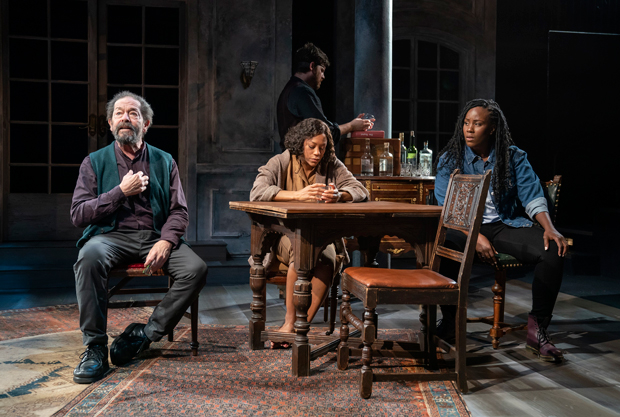 Jonathan Hadary, Nikki M. James, Michael Esper, and Crystal Lucas-Perry star in A Bright Room Called Day at the Public Theater.