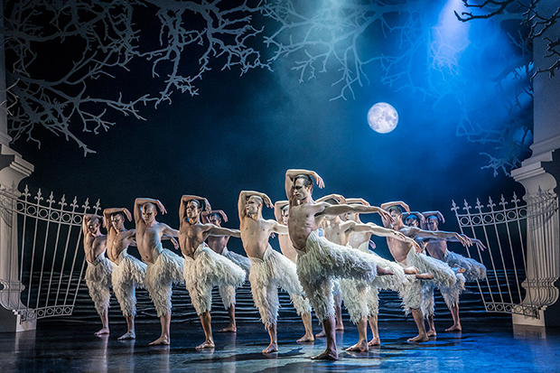 Male dancers plays swans in Matthew Bourne&#39;s Swan Lake.