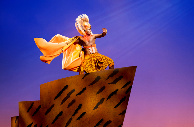 Brandon A. McCall stars as Simba in the North American tour of The Lion King.