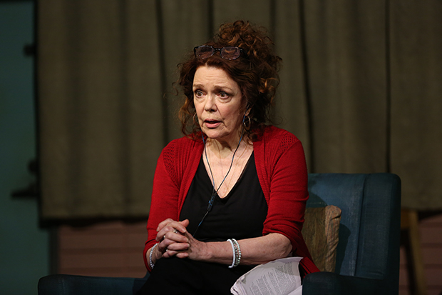 Deirdre O&#39;Connell stars in Dana H. at the Vineyard Theatre.