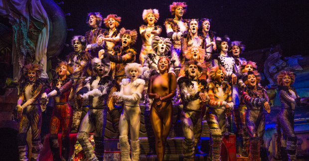 A scene from Cats on Broadway in 2016.