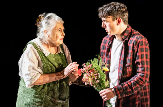 Lois Smith and Samuel H. Levine in The Inheritance.