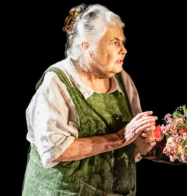 Lois Smith in The Inheritance