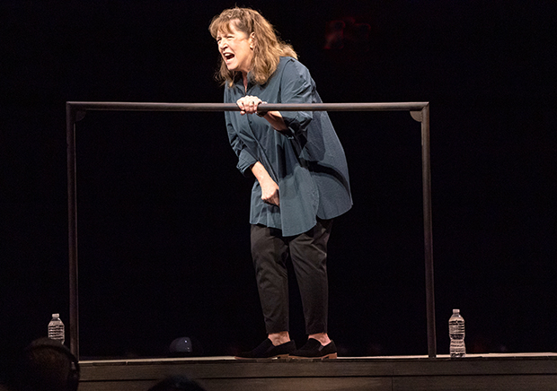 Ann Dowd in Enemy of the People at Park Avenue Armory