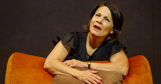 Lili Taylor in The Fever at the Minetta Lane Theatre