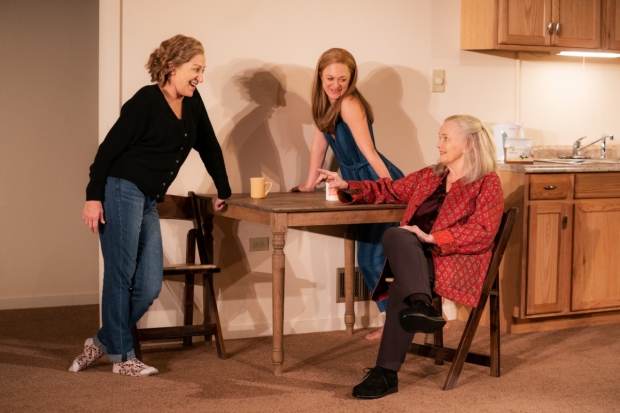 Edie Falco, Marin Ireland, and Blair Brown in Morning Sun at New York City Center – Stage I.