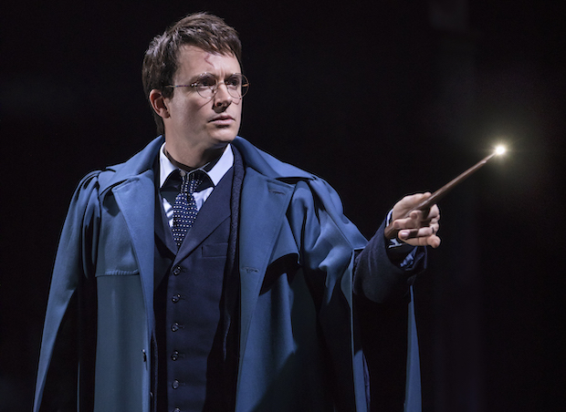 James Snyder played the role of Harry Potter in the Broadway production of Harry Potter and the Cursed Child. 