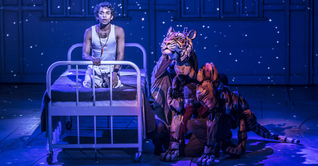 A scene from the West End production of Life of Pi