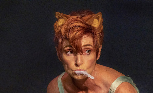 Carolyn Hennesy plays an alley cat in The Secret World of Archy &amp; Mehitabel at Whitefire Theatre. 
