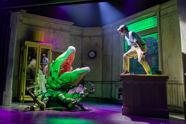 Rob McClure plays Seymour in Little Shop of Horrors off-Broadway.