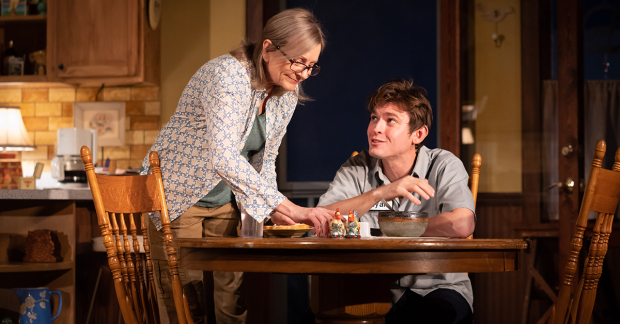 Mary Beth Fisher and Bubba Weiler in Rebecca Gilman&#39;s Swing State at the Geffen Playhouse