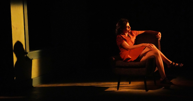 Marjan Neshat in David Cale&#39;s Sandra at the Vineyard Theatre.