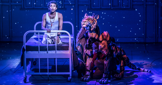 A scene from the original West End production of Life of Pi