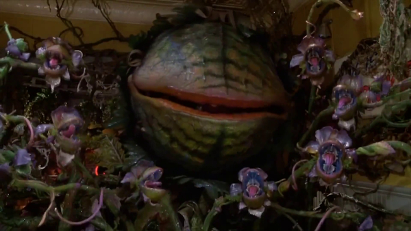 The mean, green mother from outer space, Audrey II. 