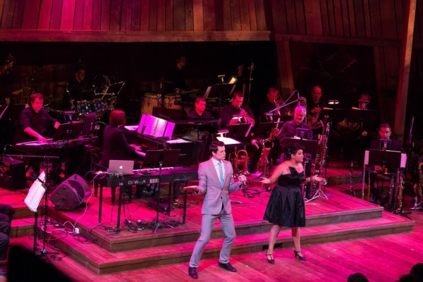 The scene on stage at the Signature Theatre gala anniversary show.