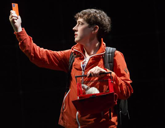 Alex Sharp and Toby in The Curious Incident of the Dog in the Night-Time at the Barrymore THeatre.